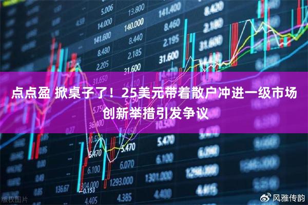 点点盈 掀桌子了！25美元带着散户冲进一级市场 创新举措引发争议