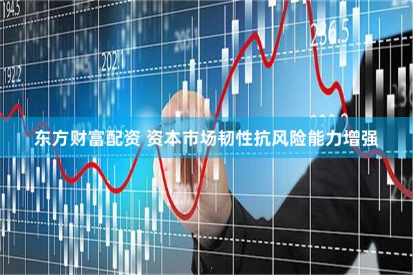 东方财富配资 资本市场韧性抗风险能力增强