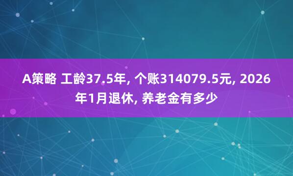 A策略 工龄37.5年, 个账314079.5元, 2026年1月退休, 养老金有多少