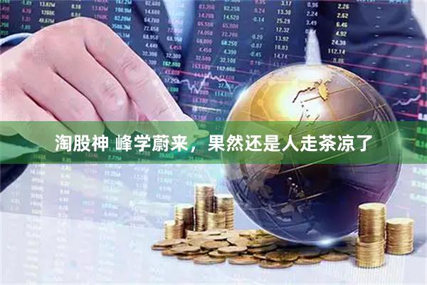 淘股神 峰学蔚来，果然还是人走茶凉了