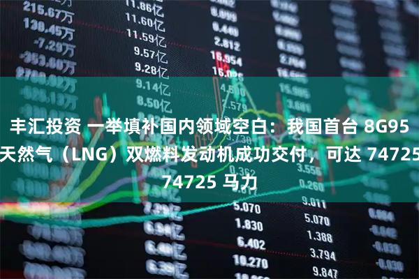 丰汇投资 一举填补国内领域空白：我国首台 8G95 液化天然气（LNG）双燃料发动机成功交付，可达 74725 马力