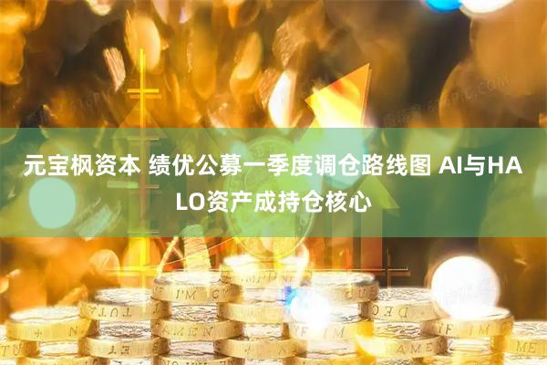 元宝枫资本 绩优公募一季度调仓路线图 AI与HALO资产成持仓核心