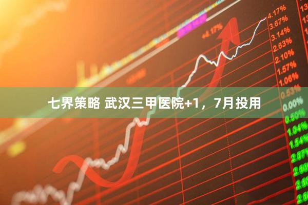 七界策略 武汉三甲医院+1，7月投用