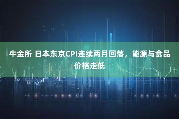 牛金所 日本东京CPI连续两月回落，能源与食品价格走低