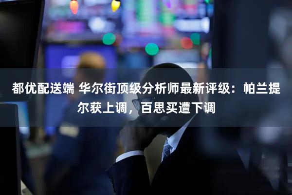 都优配送端 华尔街顶级分析师最新评级：帕兰提尔获上调，百思买遭下调
