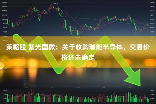 策略股 紫光国微：关于收购瑞能半导体，交易价格还未确定