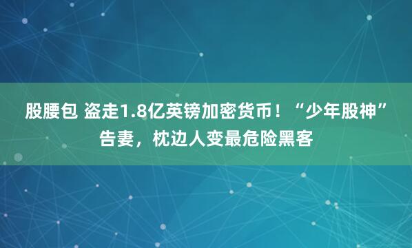 股腰包 盗走1.8亿英镑加密货币！“少年股神”告妻，枕边人变最危险黑客