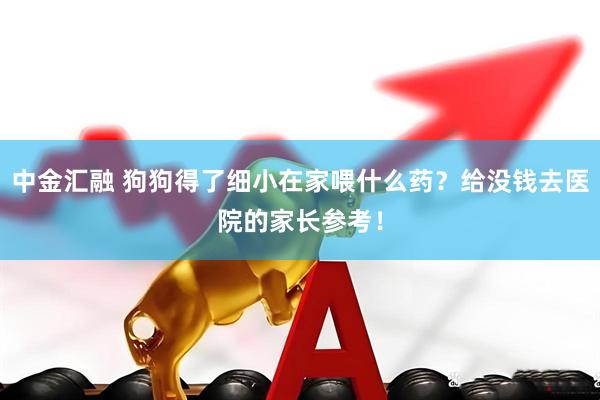 中金汇融 狗狗得了细小在家喂什么药？给没钱去医院的家长参考！