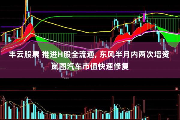 丰云股票 推进H股全流通, 东风半月内两次增资 岚图汽车市值快速修复