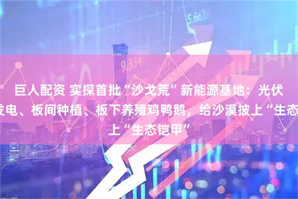 巨人配资 实探首批“沙戈荒”新能源基地：光伏板上发电、板间种植、板下养殖鸡鸭鹅，给沙漠披上“生态铠甲”