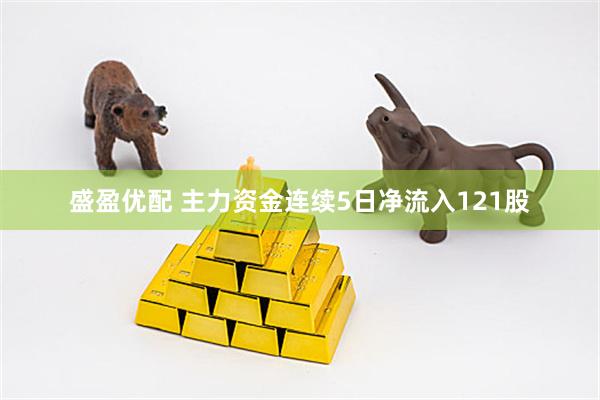 盛盈优配 主力资金连续5日净流入121股