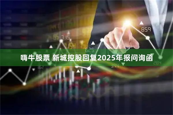 嗨牛股票 新城控股回复2025年报问询函