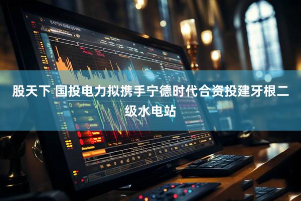 股天下 国投电力拟携手宁德时代合资投建牙根二级水电站
