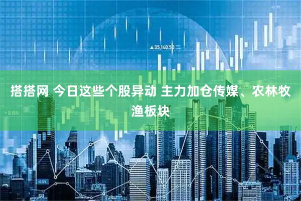 搭搭网 今日这些个股异动 主力加仓传媒、农林牧渔板块